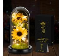 Seachrgif Regalos de Girasol para Mujeres, Regalo Navidad para Mujer Hombre Esposa, Mamá, Abuela Amiga, Cumpleaños, Día de la Madre,Ideas Regalos Navidad,Girasol Artificial en Cúpula de Cristal