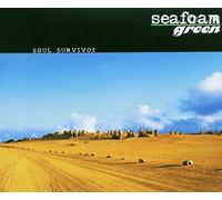 Seafoam Green - Soul Survivor