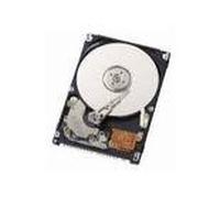 Seagate 147GB Savvio 10K.2 SAS 10000RPM Enterprise, ST9146802SS (10000RPM Enterprise)