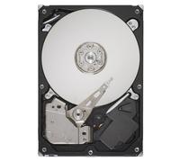 Seagate Barracuda 7200 - Disco Duro Interno (750 GB, 7200 RPM, SATA, 3 GB/s, 32 MB de caché, 3,5 Pulgadas, ST3750528AS)