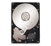 Seagate Barracuda ES.2 1TB 3,5 '(ST31000340NS) SATA de 300 32 MB 7200RPM Disco Duro Interno