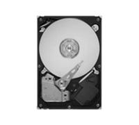 Seagate Barracuda LP ST31500541AS - Disco duro interno (500 GB, SATA-300)