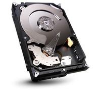Seagate Barracuda ST320DM000 - Disco Duro Interno de 320 GB (3,5", 720 RPM, Interfaz de Disco SATA de 6 GB/s, caché de 16 MB)