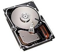 Seagate Cheetah 146.8 GB HDD 146.8 GB SCSI Disco Duro Interno