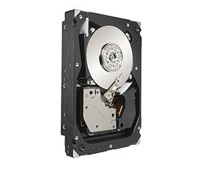 Seagate Cheetah 15K.7 White Label - Disco duro interno (8,9 cm, 3,5 pulgadas, 15000 rpm, tiempo de acceso de 3,4 ms, caché de 16 MB, SAS II, capacidad: 600 GB, modelo: ST3600057SS)