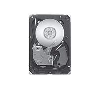 Seagate Cheetah 15K - Disco Duro Interno de 600 GB