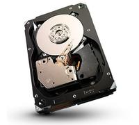 Seagate Cheetah ST3300657SS - Disco duro (3,5", SAS2, 300 GB, 15000 rpm, 16 MB)