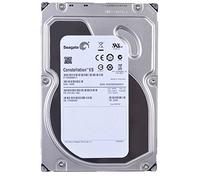 Seagate Constellation 1TBGB SATA, 7200rpm 3.5" 1000 GB - Disco Duro (7200rpm, 3.5", 1000 GB, 7200 RPM)