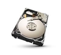 Seagate Constellation 2 ST9250610NS - Disco Duro Interno de 250 GB (16 cm/2,5", 7200 RPM, 64 MB de caché, SATA II)