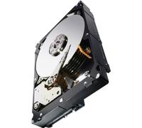 Seagate Constellation ES.3-1 TB - Disco Duro - Serial ATA III