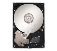 Seagate Constellation ES ST31000524NS - Memoria Interna de 1 TB (3,5"/8,9 cm, 7200 RPM, Tiempo de Acceso 8,5 ms, caché de 32 MB)