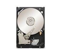 Seagate Constellation ES ST32000644NS - Disco Duro Interno de 2 TB (8,9 cm (3,5"), 7200 RPM, 8,5 ms de Tiempo de Acceso, 64 MB de caché)