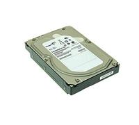 Seagate Constellation SAS 2 TB.