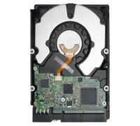 Seagate Desktop HDD 500GB 3.5" SATA II 3.5" Serial ATA II Unidad de - Disco Duro (3.5", 500 GB, 7200 RPM)
