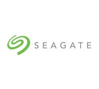 Seagate - IronWolf ST10000VN000 disco duro interno 10 TB 7200 RPM 256 MB 3.5" Serial ATA III