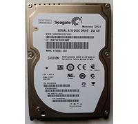 Seagate Momentus ST9250410AS Disco Duro Interno de 2,5 "SATA II 7200 Rev/min 250 GB