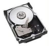 Seagate st-3146807lw 146 GB U320 10 K 4.7 MS 3,5 conector LP de guepardo de Nueva Seagate st3146807lw