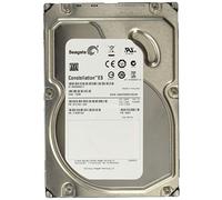 Seagate ST1000NM0011 Constellation ES 1000GB