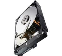 Seagate ST1000NM0033 - Disco Duro de 3.5", 1 TB, SATA 6 GB/s, 7200 RPM