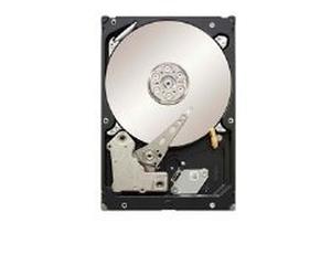Seagate ST31000524NS Constelación Es SATA 3.0Gb/S 1TB 7200RPM 32MB Caché 3.5 Disco Duro Interno (Desnudo Disco)