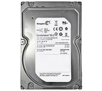 Seagate ST32000645SS - Disco Duro Interno de 2 TB (3.5", 7200 RPM, SAS 6 GB/s), Negro