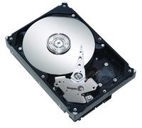 Seagate ST3250318AS