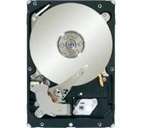 Seagate ST33000650SS Constellation ES.2