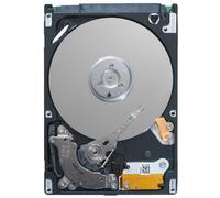 Seagate ST9250410ASG