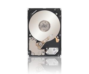 Seagate ST9300605SS Savvio - Disco Duro Interno (2,5", SAS 6Gb/s, 10.000 RPM, 300 GB)