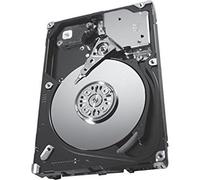Seagate ST9300653SS - Disco duro para empresas (2,5", 300 GB15000 rpm, SAS-2/SAS, 6,0 GB/s y 64 MB, para portátiles