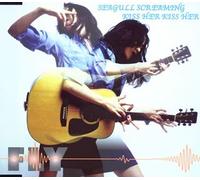 Seagull Screaming Kiss Her Kis - Fly