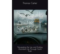 Seagulls in the Snow: Navigating the Lies and Finding Abundant Life Through God's Truth (Detours and Mile Markers)
