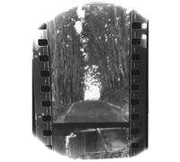 Seahaven - Winter Forever [Vinilo]