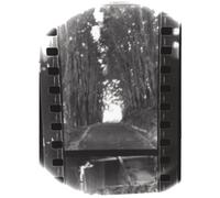 Seahaven - Winter Forever [Vinilo]