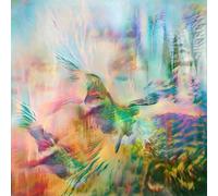Seahawks - Time Enough For Love [Vinilo]