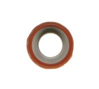 SEAL, TENSOR DE CADENA DE DISTRIBUCI