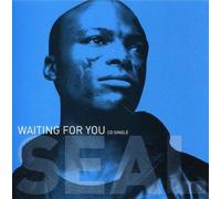 Seal - Waiting for You