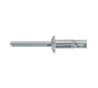Sealey Acero Estructural Remache Cincado 6.3 x 32mm Paquete De 100 MB6332
