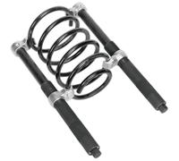 Sealey AK3845 Bobina Compresor de Resorte Set 2pc Resistente 2500kg / Par