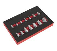 Sealey AK61807 Trx-Estrella Enchufe Set 14pc 0.6cm,1cm &1.3cmSq Drive E4-E24