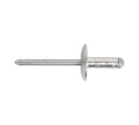 Sealey RM4819L Aluminio Multi Agarre Remache Grande Brida 4.8 x 19mm Pack De 200