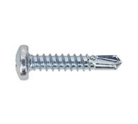 Sealey Autorroscantes Tornillo 4.8 x 25mm Pan Cabeza Philips Cinc Paquete De 100