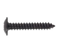 Sealey Tornillo Autorroscante 4.2 x 25mm Rebordeados Cabeza Negro Pozi Pack 100
