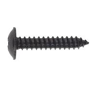 Sealey bst4825 autorroscante tornillos 4,8 x 25 mm cabeza con brida negro Pozi BS 4174 - Pack de 100