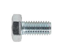 Sealey HT Tornillo De Ajuste M6 x 12mm 8.8 Zinc Paquete De 50 SS612
