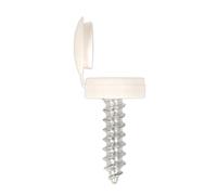 Sealey npw50 Número placa tornillo & tapa Cap 4.2 x 19 mm), color blanco (50 unidades)