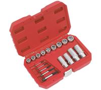 Sealey Tornillo, Tuerca & Juego de Extractores de Tornillos 18pc AK751