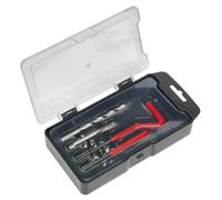 Sealey TRM6 - Accesorio de herramienta eléctrica (tamaño: M6 x 1 mm)