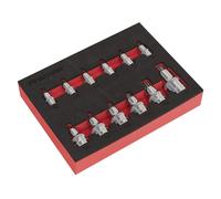 Sealey AK6245 Trx-Estrella Set Llave Vaso 12pc Stubby 0.6cm,1cm &1.3cmSq Drive