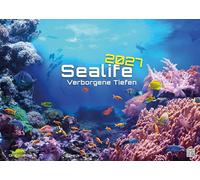 Sealife - verborgene Tiefen - 2027 - Kalender DIN A2: Der Wandkalender mit den schönsten Unterwasser-Motiven für das Jahr 2027 im extragroßen Format DIN A2 (ca. 60 x 42 cm)!